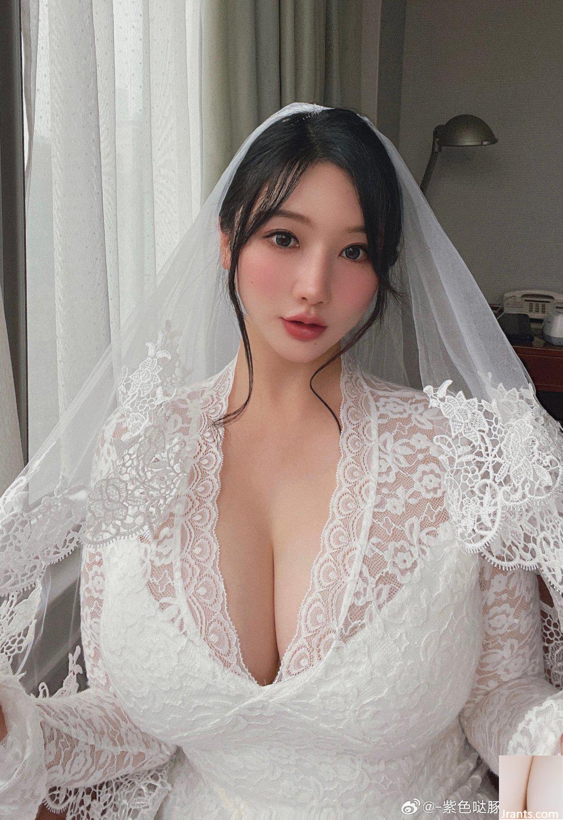 (퍼플 돌핀) 컬렉션 (89P)