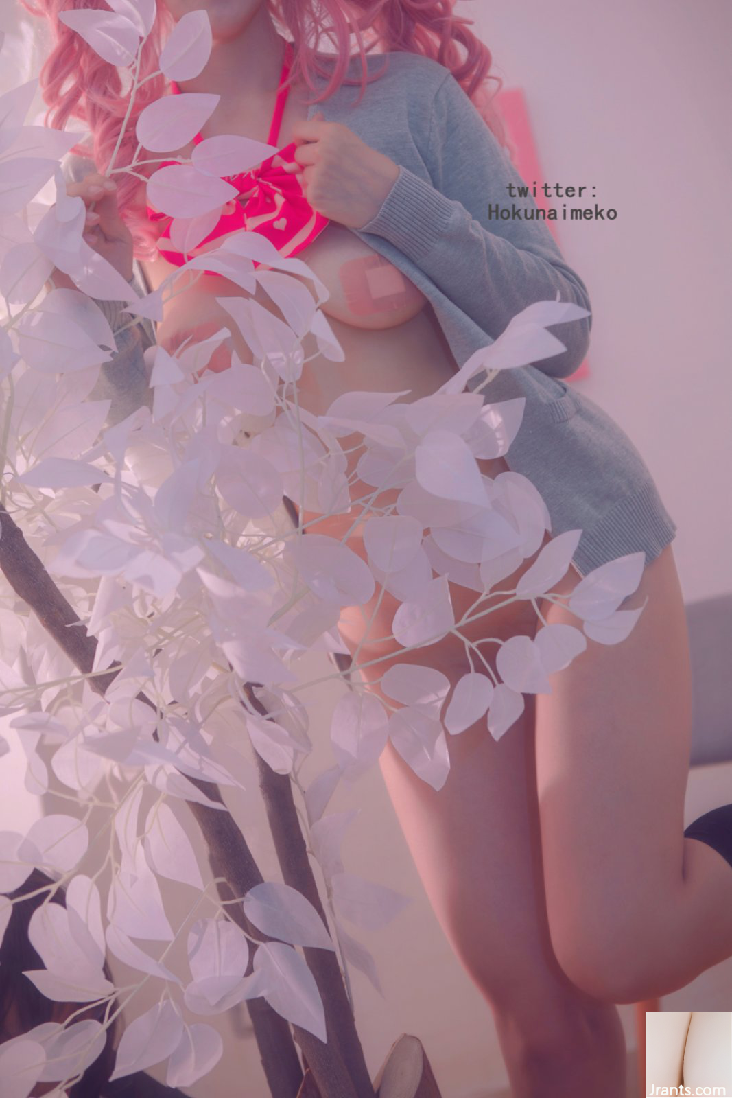 Coser@Hokunaimeko (Meko Kitano) Tamamo-mae uniform ver (96P)