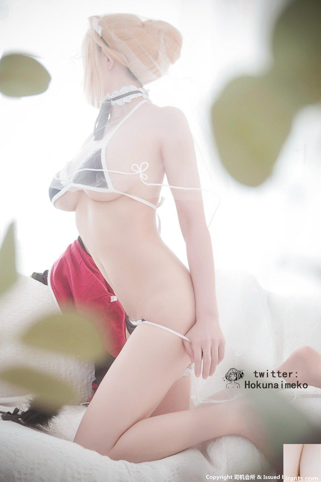 Coser@Hokunaimeko ( Kitano Meiko ) No.22 (বর্ধিত সংস্করণ) (65P)