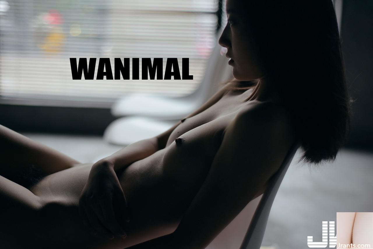 WANIMAL 王動6 (58P)