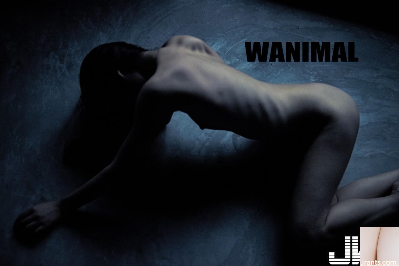 WANIMAL 王動6 (58P)