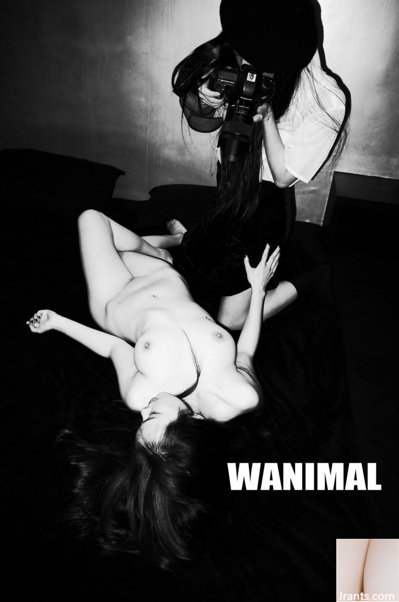 WANIMAL 王動6 (58P)