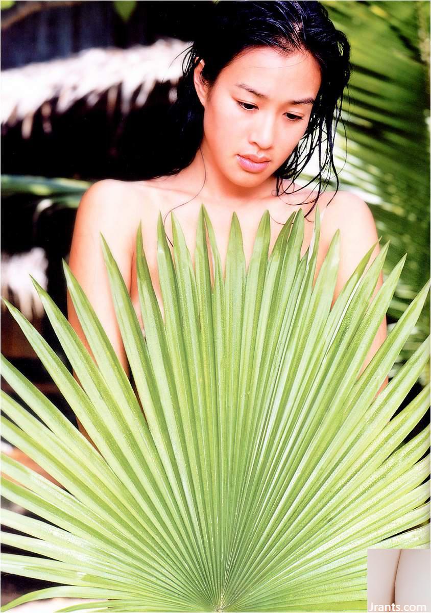 Álbum de fotos Feel Christy Chung (102P)