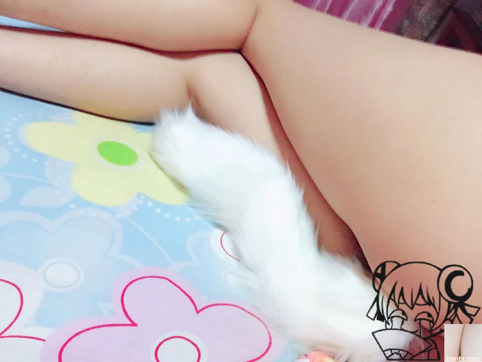 (Coleção da Internet) Pacote de imagem VIP: Loli é apenas um gato fofo de fada (54p)