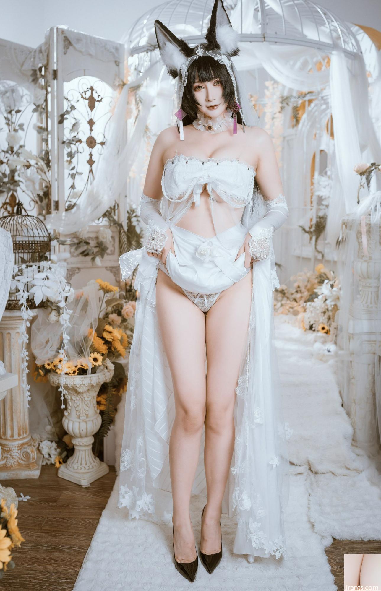 (Collezione online)  Welfare Girl Rabbit Pangpang Min &#8220;Mushashi Flower Marriage&#8221; VIP Exclusive (43p)