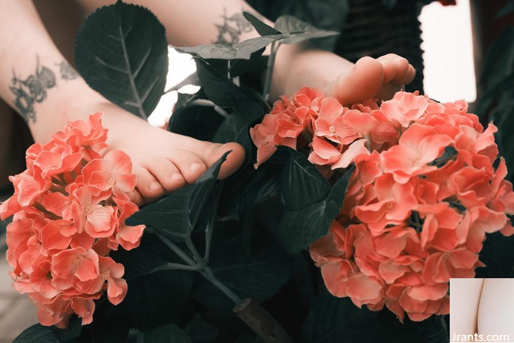 (Suicide Girls) 16 mars 2025 &#8211; Frutella &#8211; Jardin botanique de l&rsquo;amour (46p)
