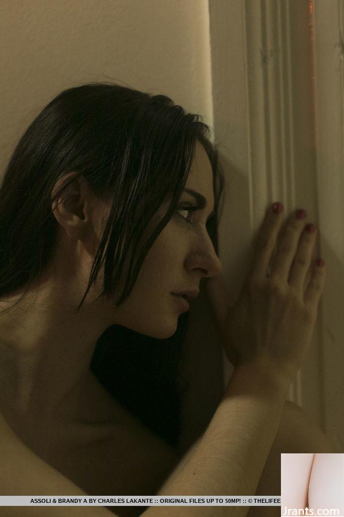 Assoli (فدراسیون روسیه) 2014-2015 (82p)