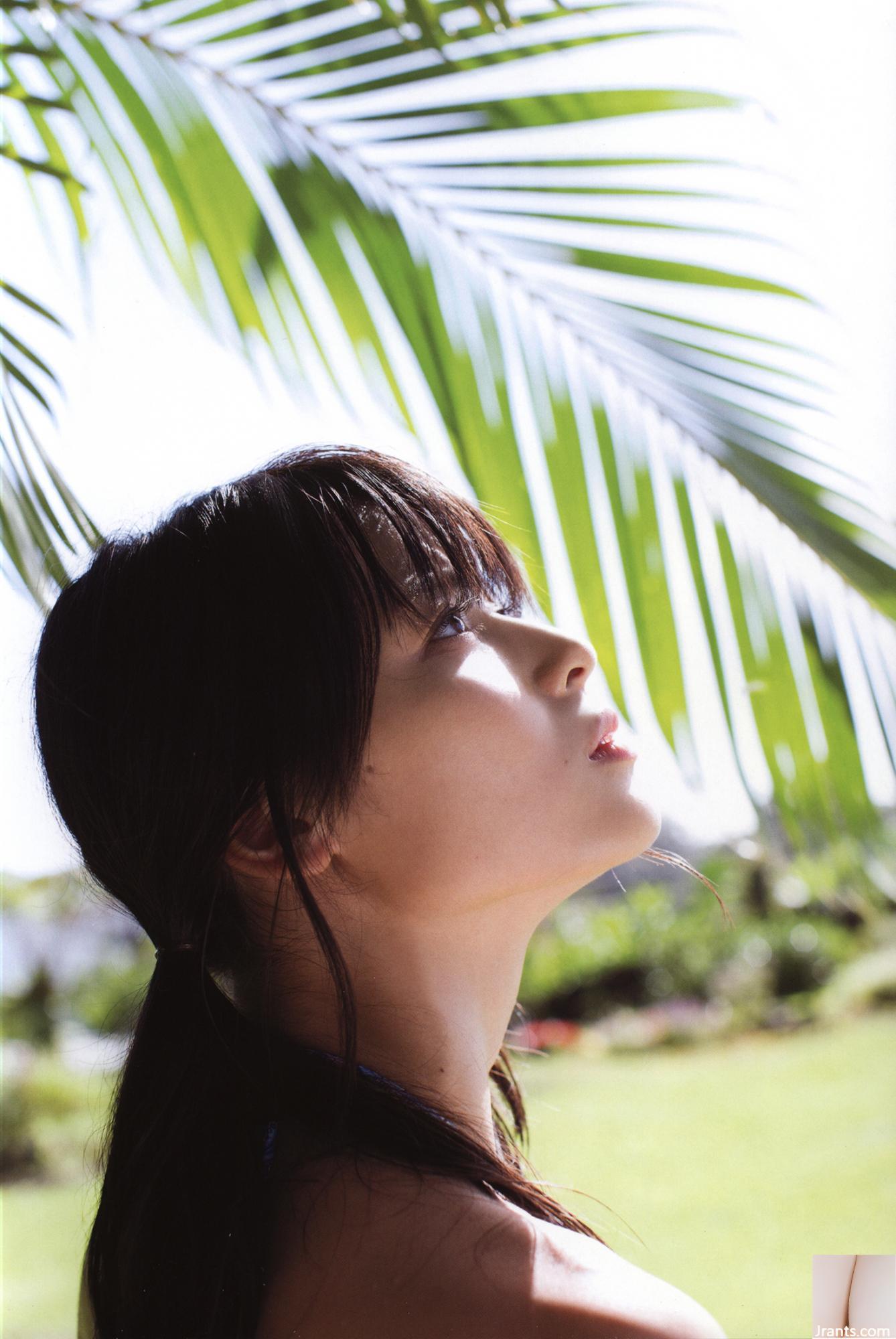 آلبوم عکس Yajima Aoya 『Pure Eyes』 (100p)