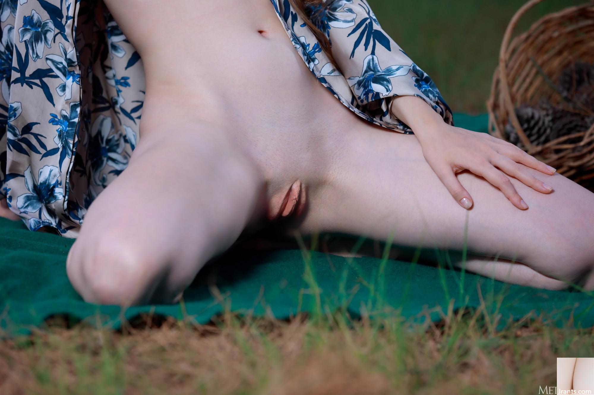 Dariana &#8211; Orman Fantezi (114p)
