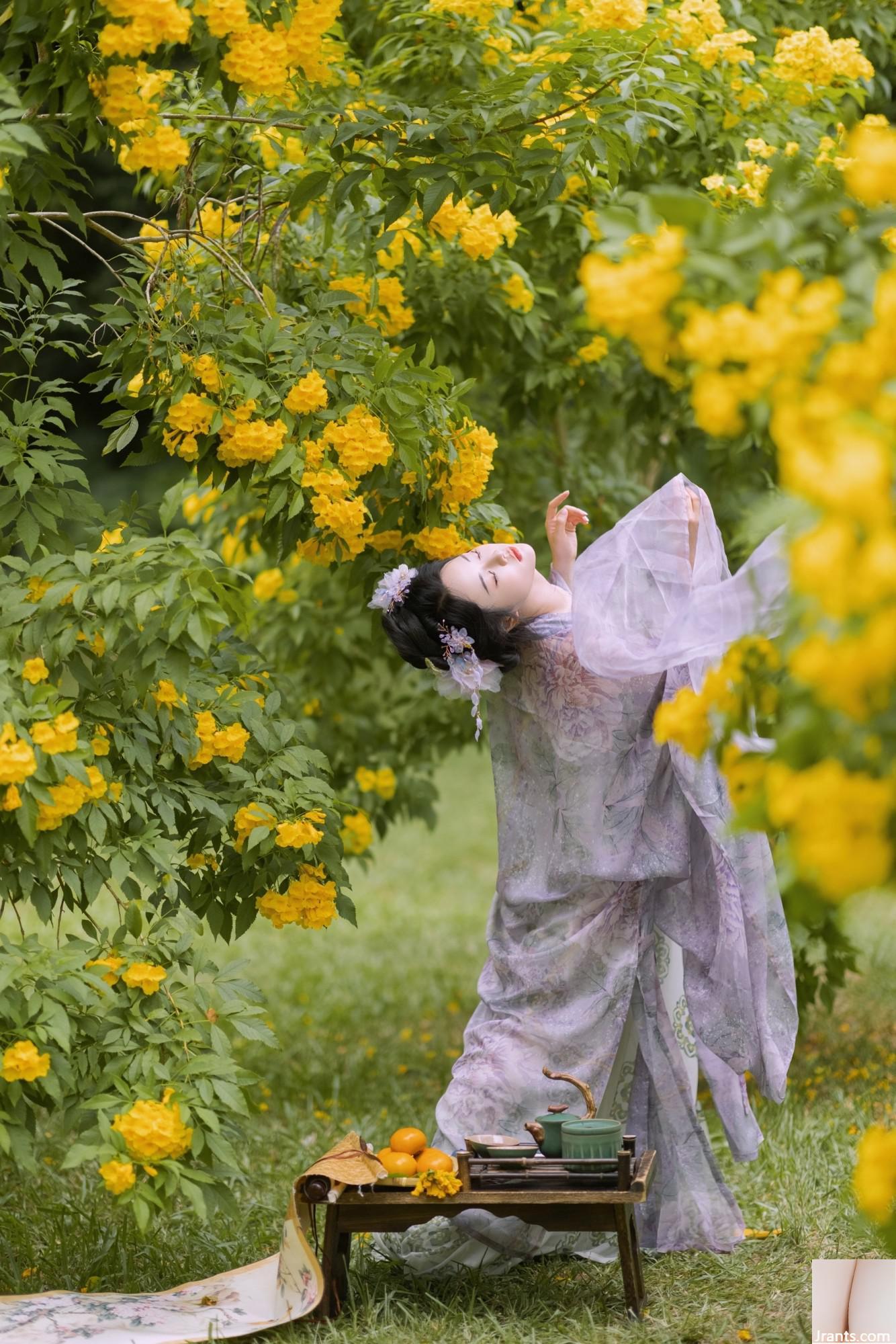 দেরী শরত্কাল ফুলের দেবতা এপ্রিকটস (29 পি)