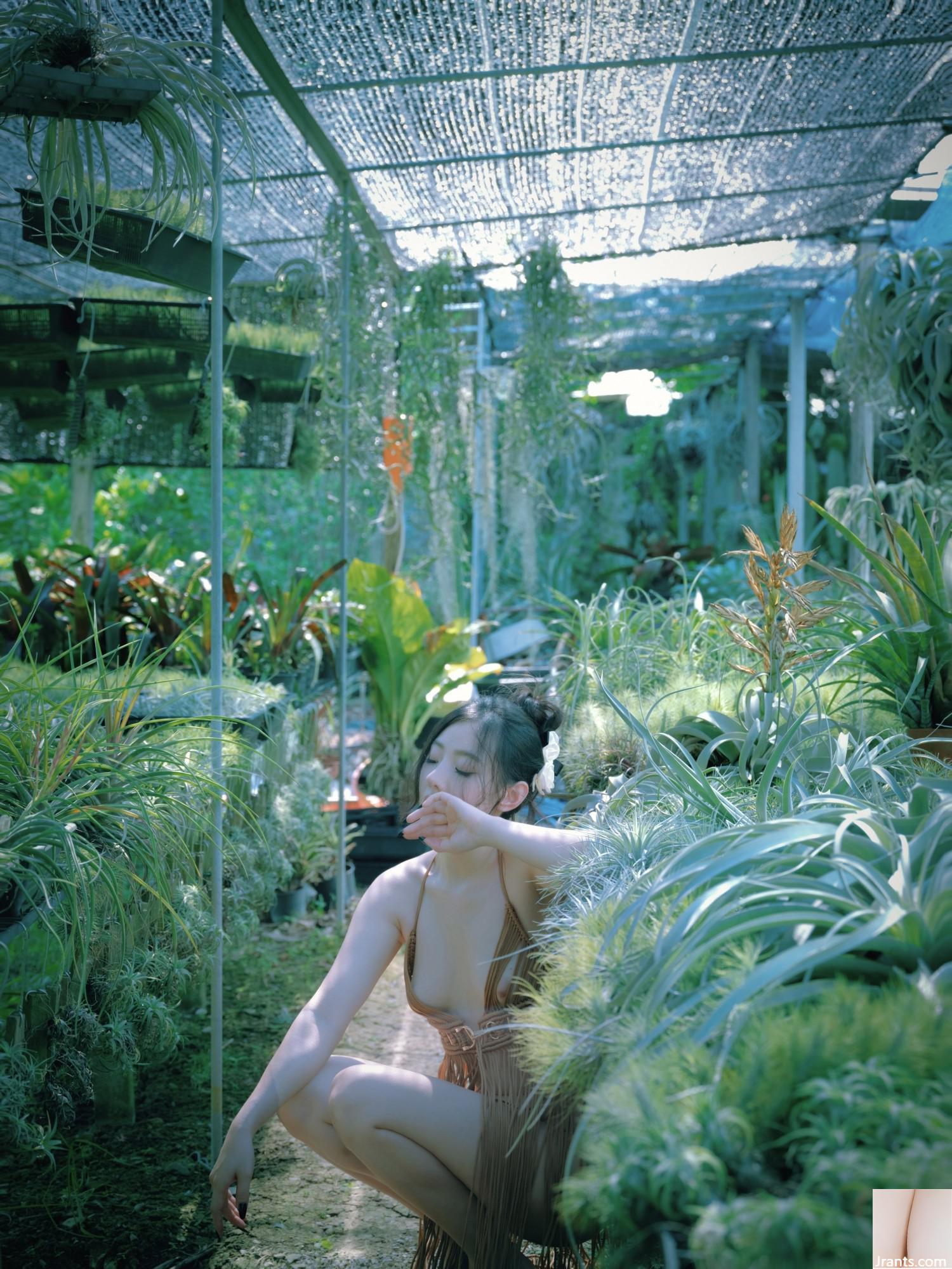 (ফটোগ্রাফার)@ভায়োলেটবাবি 2004 (113 পি)
