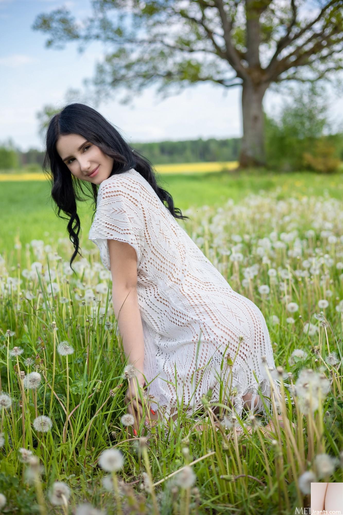 Sasha Jane &#8211; Dandelions (105p)