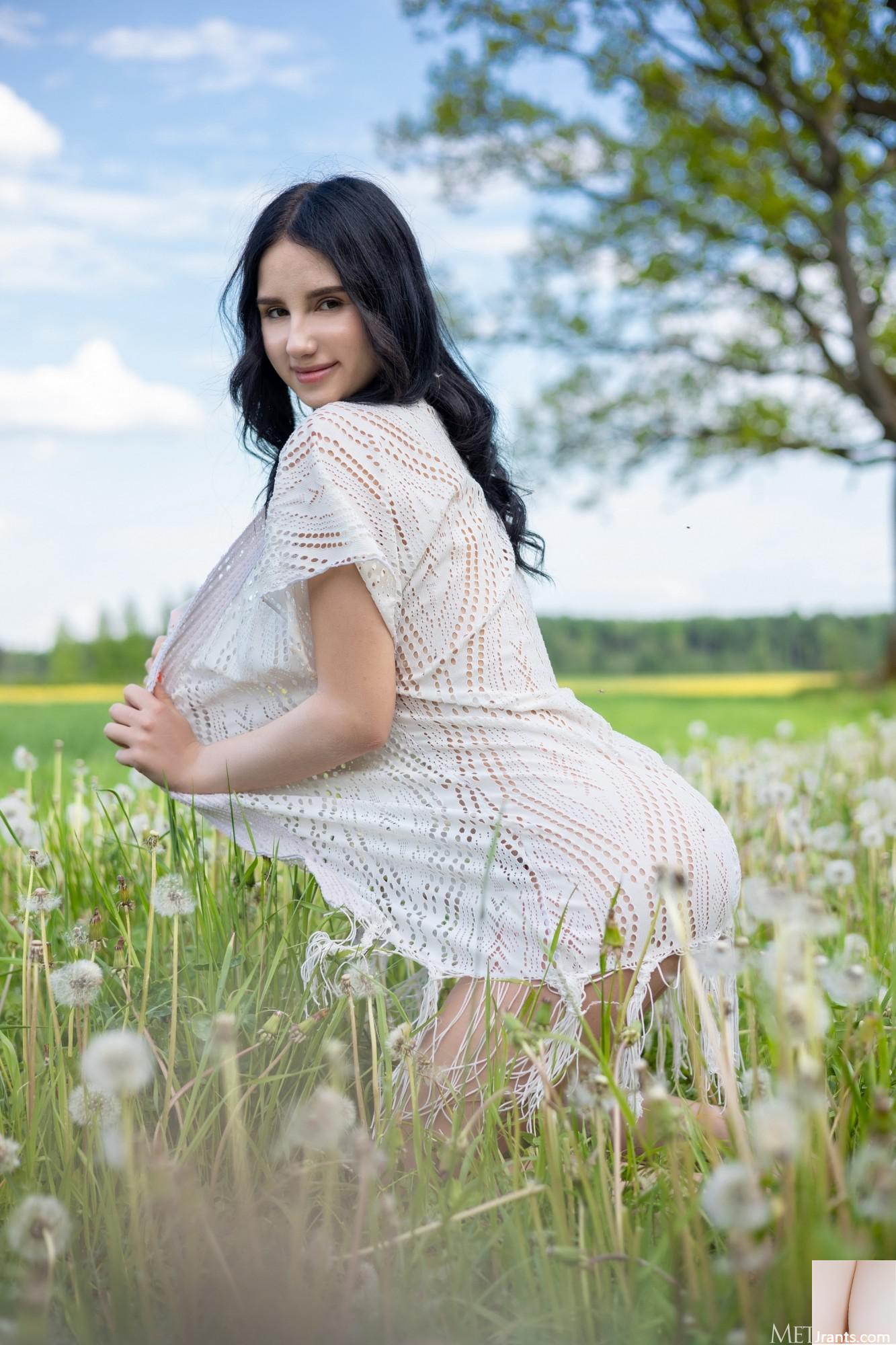 Sasha Jane &#8211; Dandelions (105p)