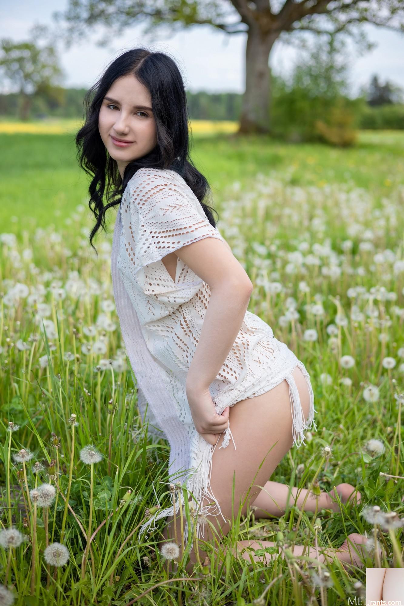 Sasha Jane &#8211; Dandelions (105p)