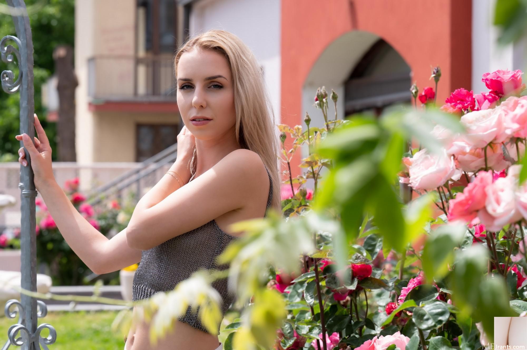 Vine &#8211; Ladin (97p)