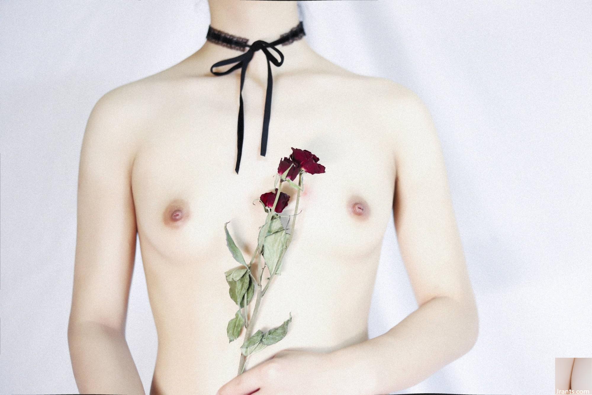 (مجموعه آنلاین) دختر رفاهی Lomei Micro Circle &#8220;OL و Flower&#8221; VIP منحصر به فرد