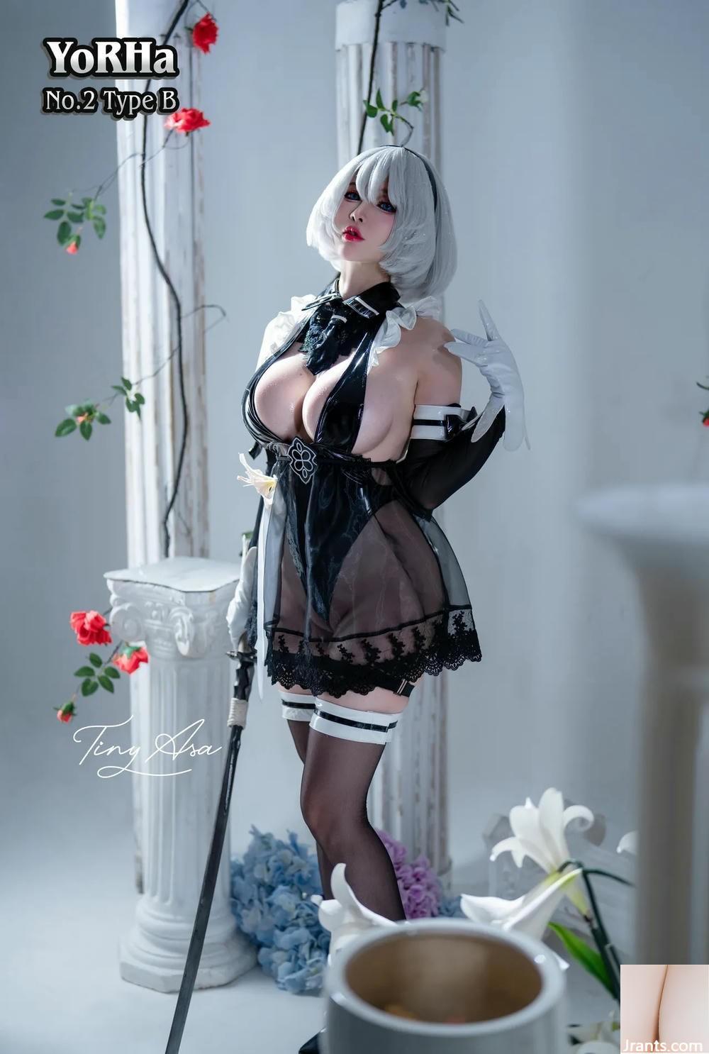(Collezione Internet) Tiny ASA &#8211; 2B (85p)