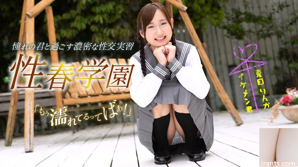 (Natsume りんか) Cute Student Girl può giocare di nuovo (29p)