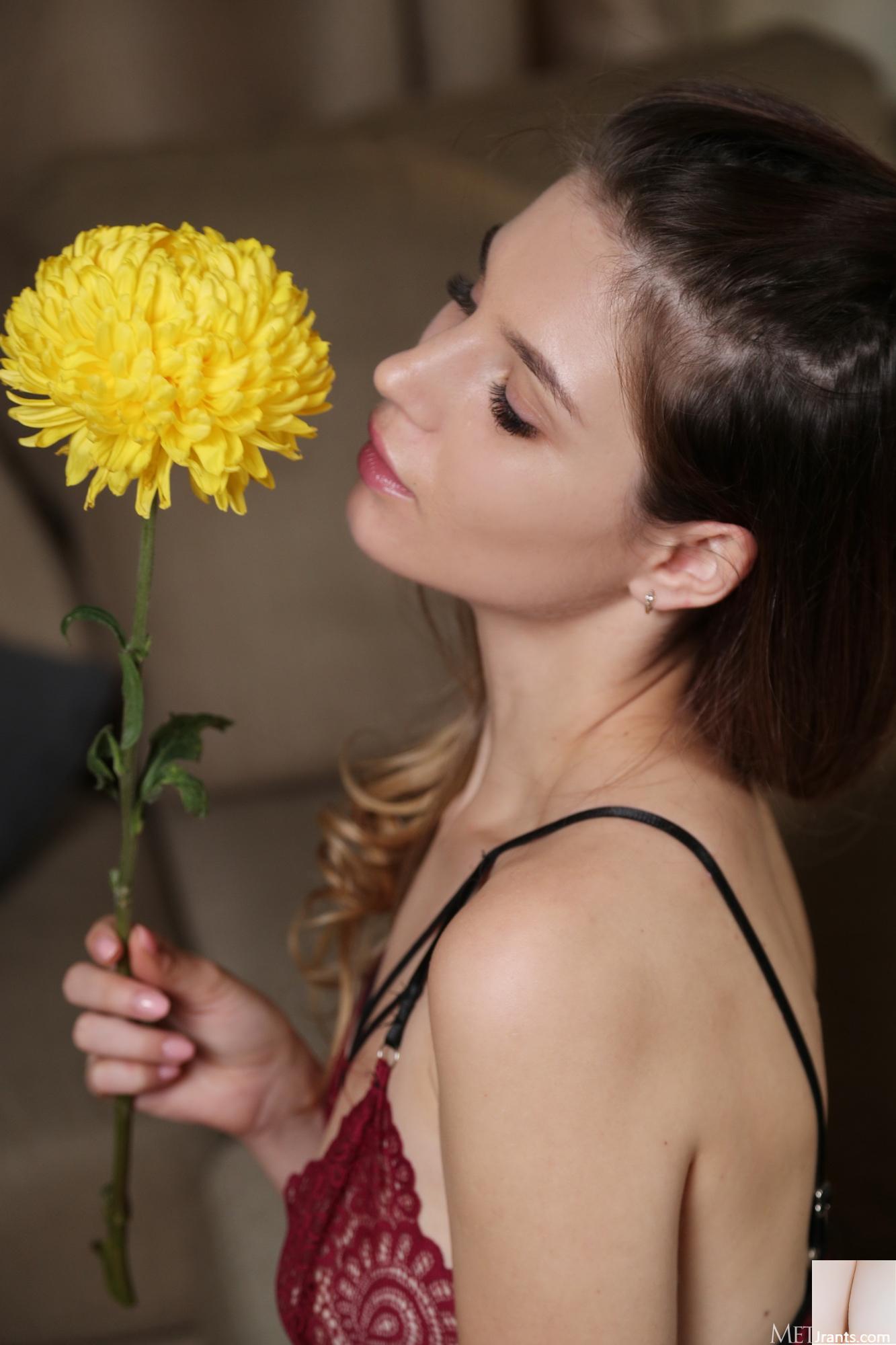 Emilia lúpulo &#8211; luz suave (84p)