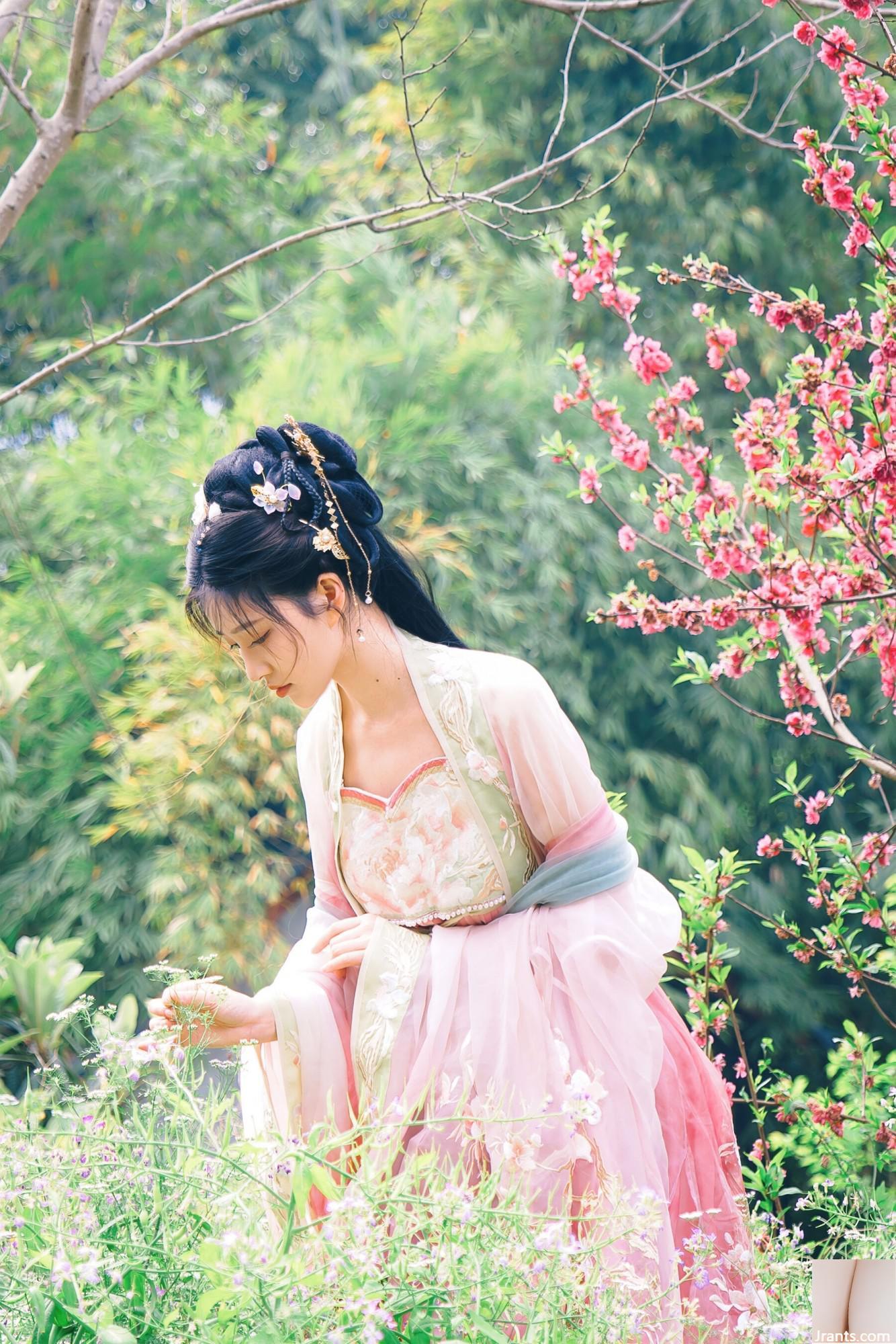 (صورة نموذج صينية نموذج) Nian&#8221;Begonia Fairy&#8221; (84p)