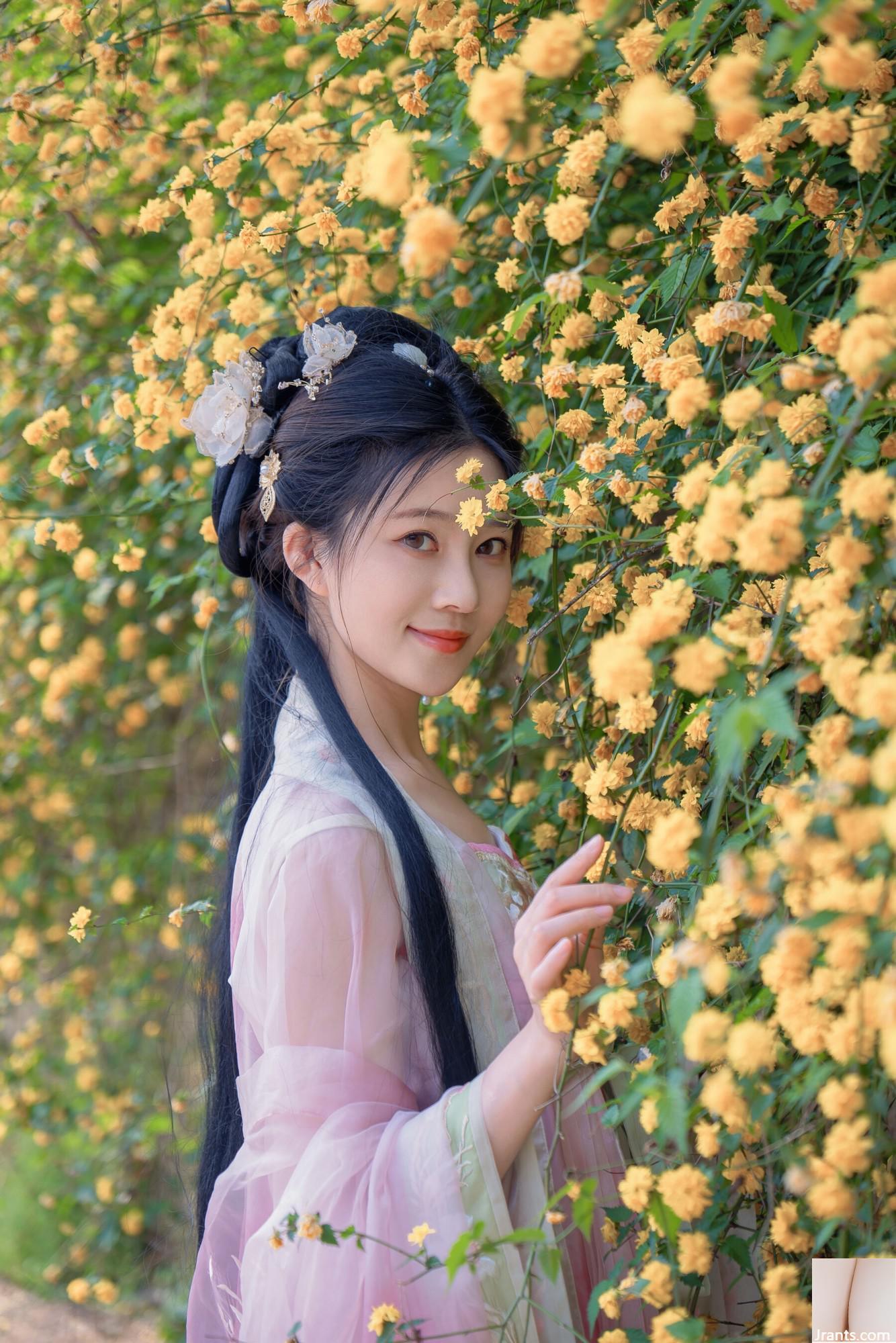 (صورة نموذج صينية نموذج) Nian&#8221;Begonia Fairy&#8221; (84p)