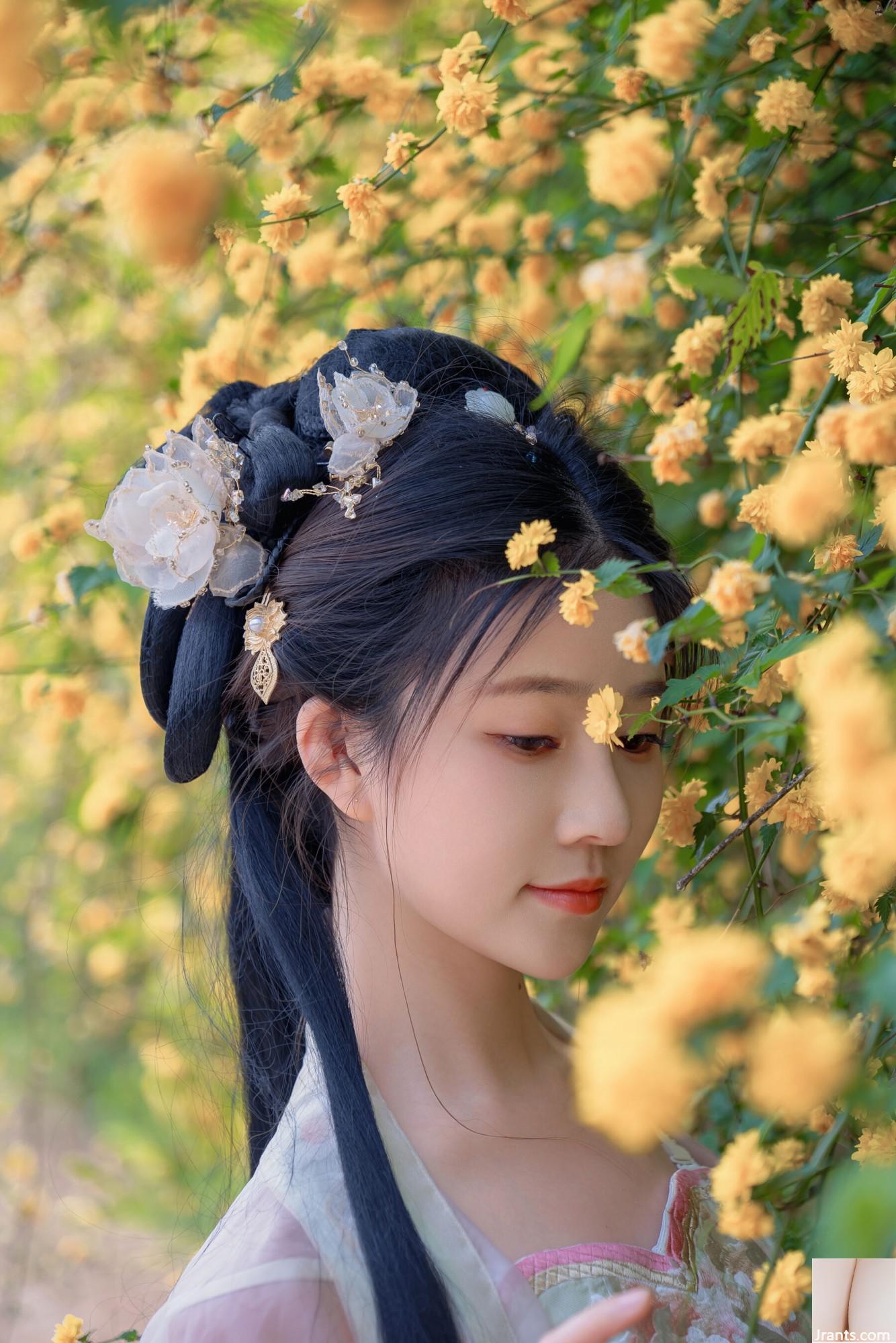 (صورة نموذج صينية نموذج) Nian&#8221;Begonia Fairy&#8221; (84p)