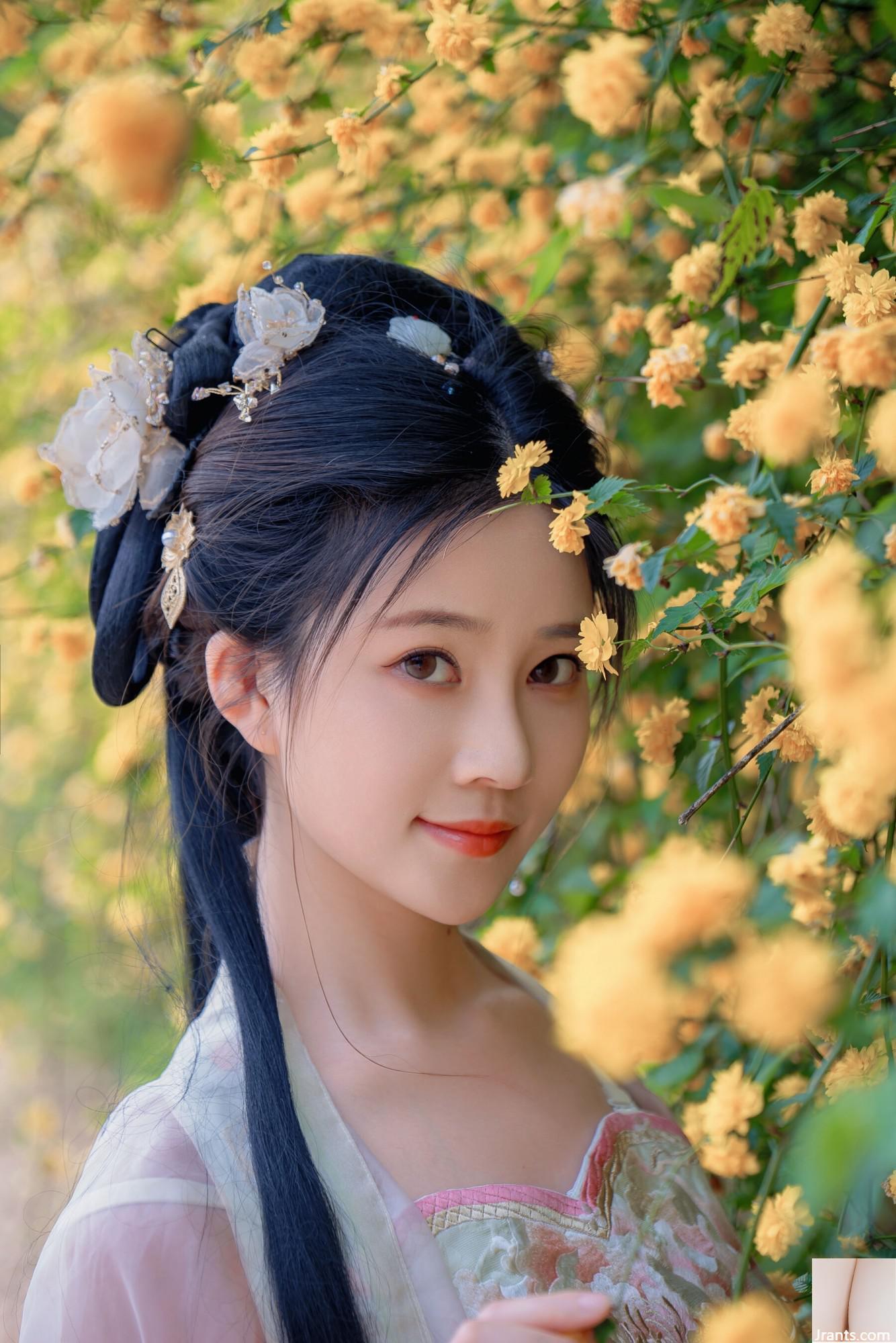 (صورة نموذج صينية نموذج) Nian&#8221;Begonia Fairy&#8221; (84p)