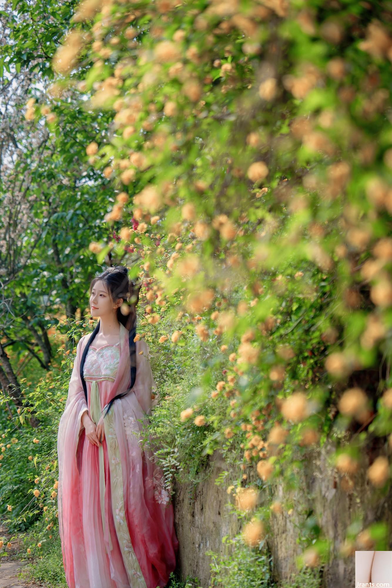 (صورة نموذج صينية نموذج) Nian&#8221;Begonia Fairy&#8221; (84p)