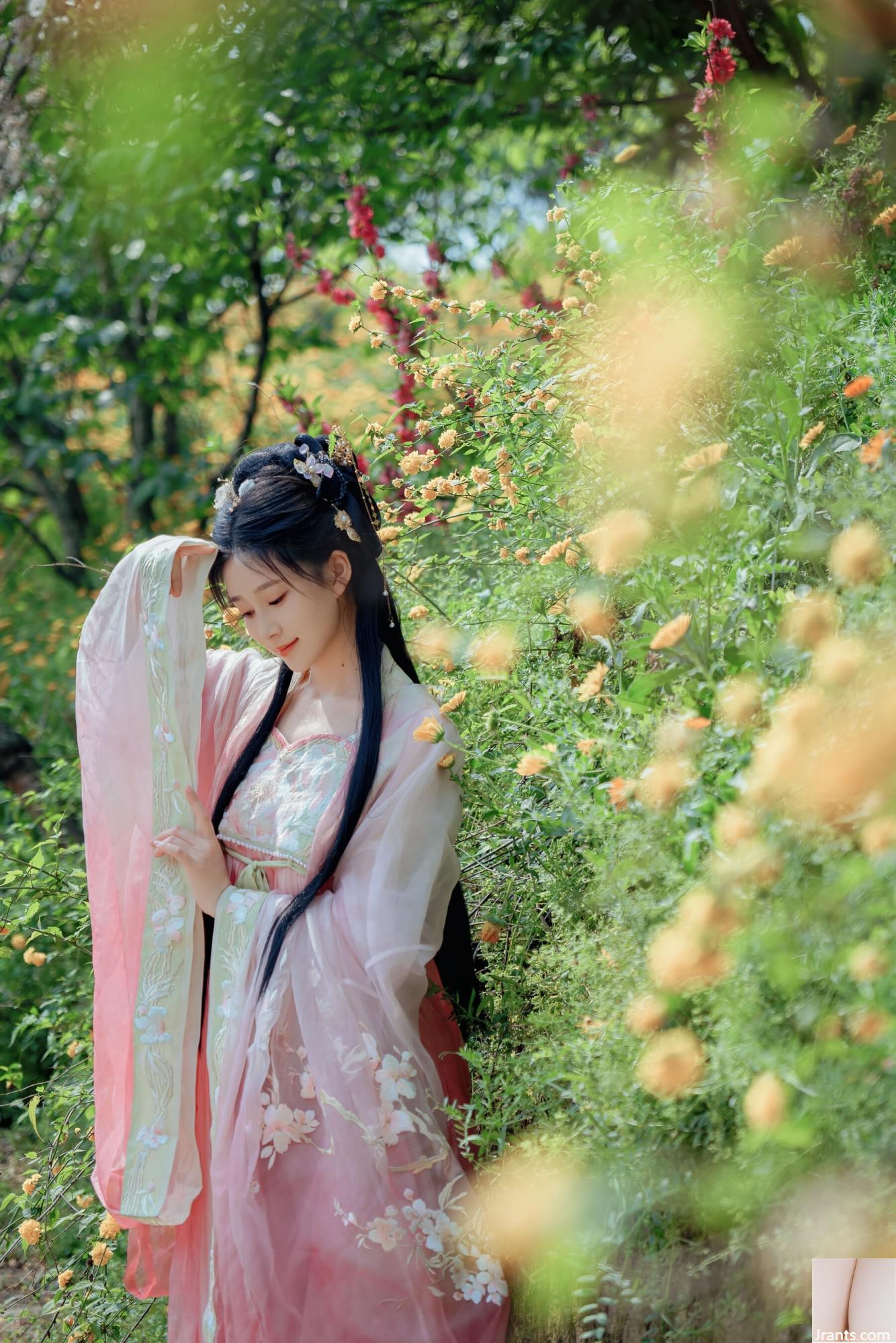(صورة نموذج صينية نموذج) Nian&#8221;Begonia Fairy&#8221; (84p)