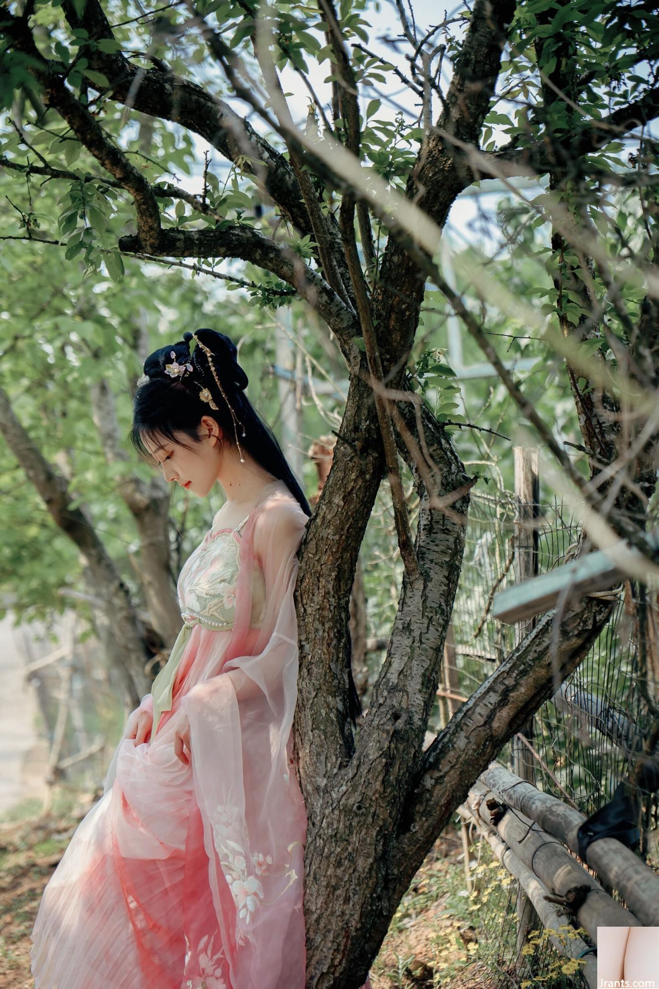 (صورة نموذج صينية نموذج) Nian&#8221;Begonia Fairy&#8221; (84p)