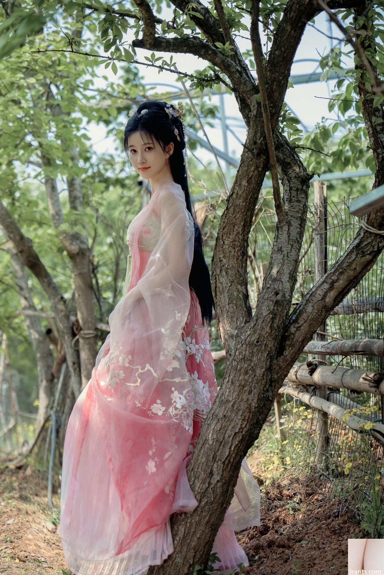 (صورة نموذج صينية نموذج) Nian&#8221;Begonia Fairy&#8221; (84p)