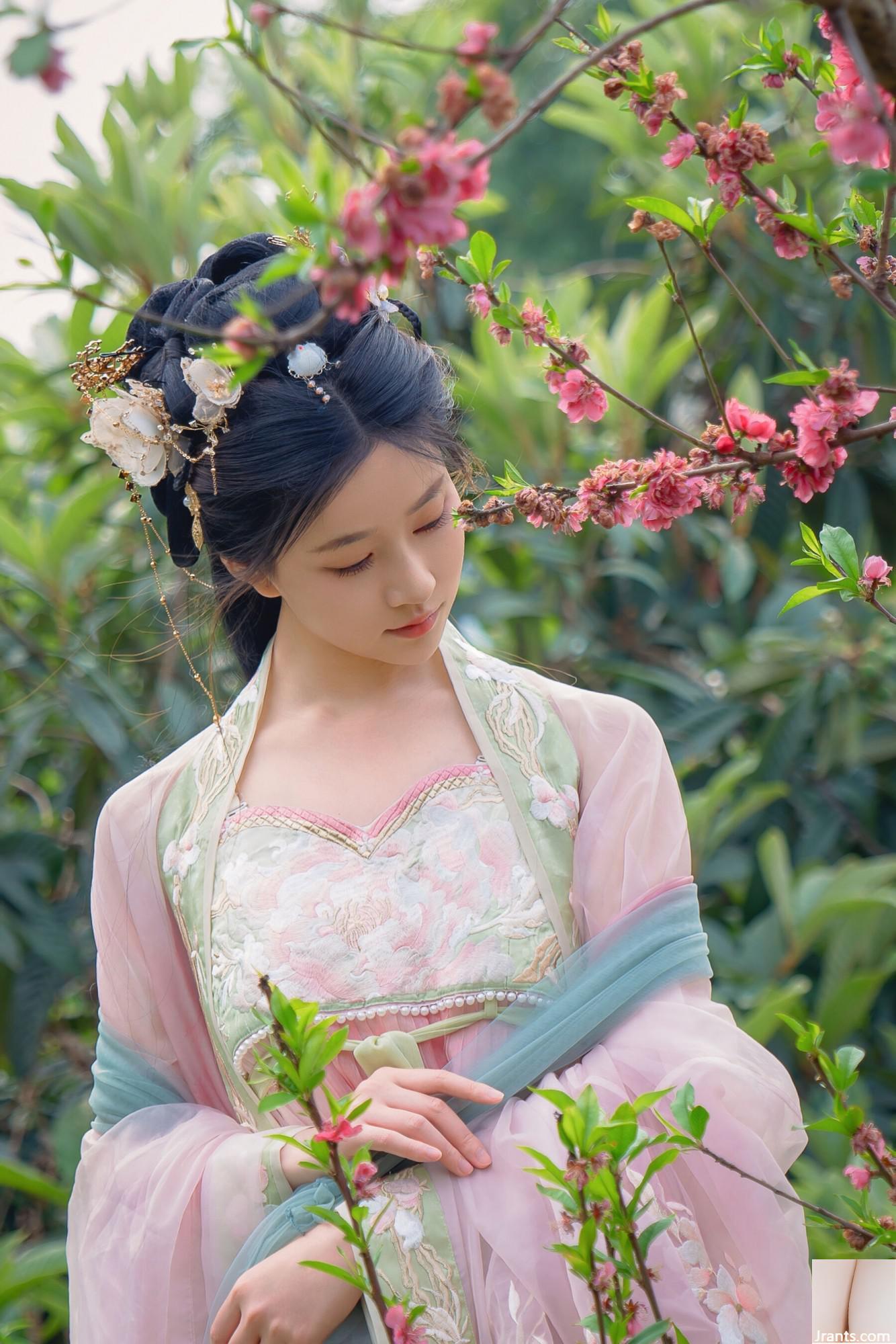 (صورة نموذج صينية نموذج) Nian&#8221;Begonia Fairy&#8221; (84p)