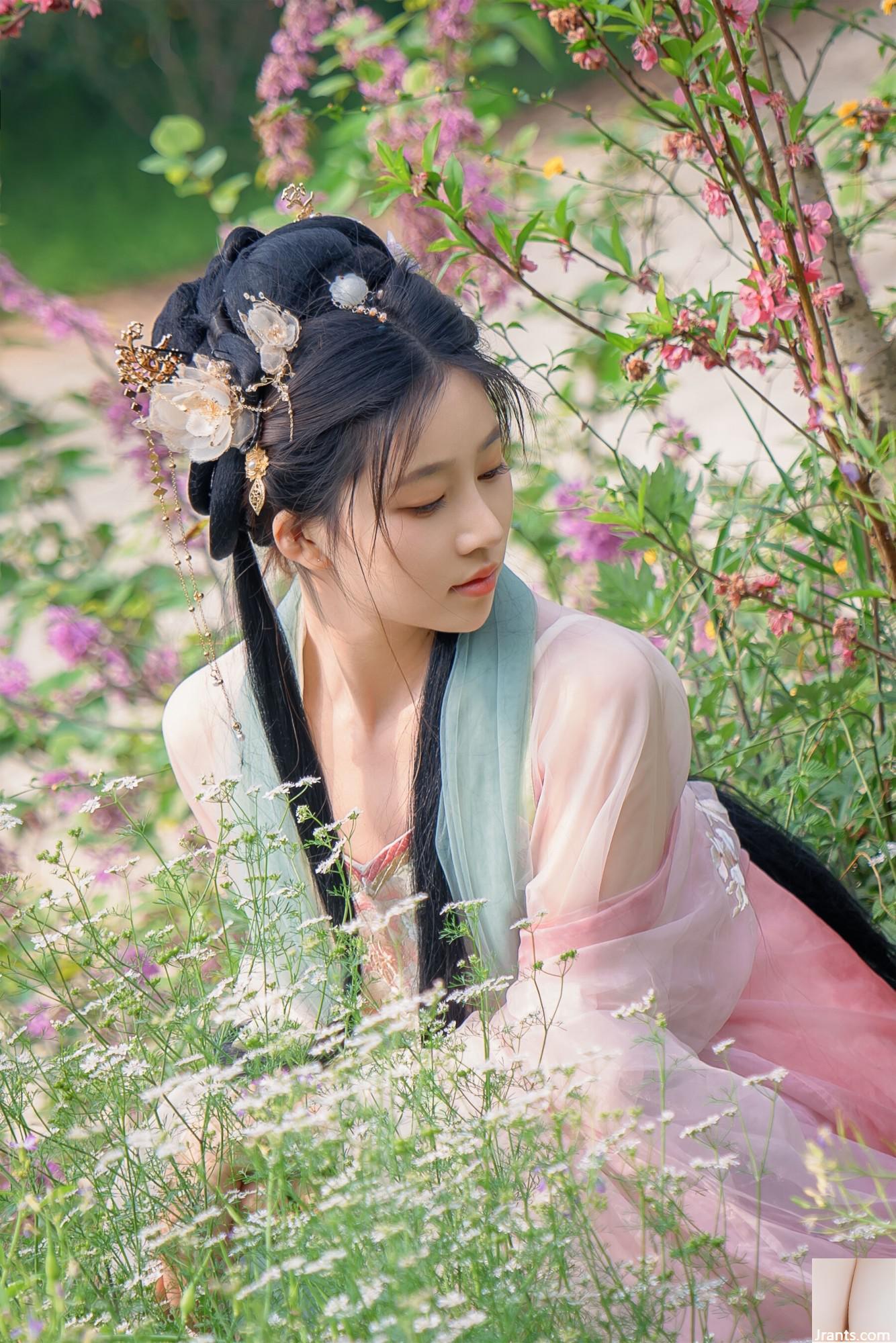 (صورة نموذج صينية نموذج) Nian&#8221;Begonia Fairy&#8221; (84p)