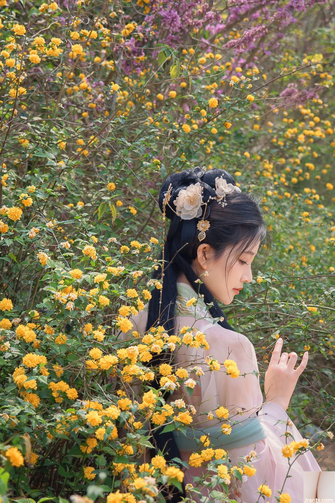 (صورة نموذج صينية نموذج) Nian&#8221;Begonia Fairy&#8221; (84p)