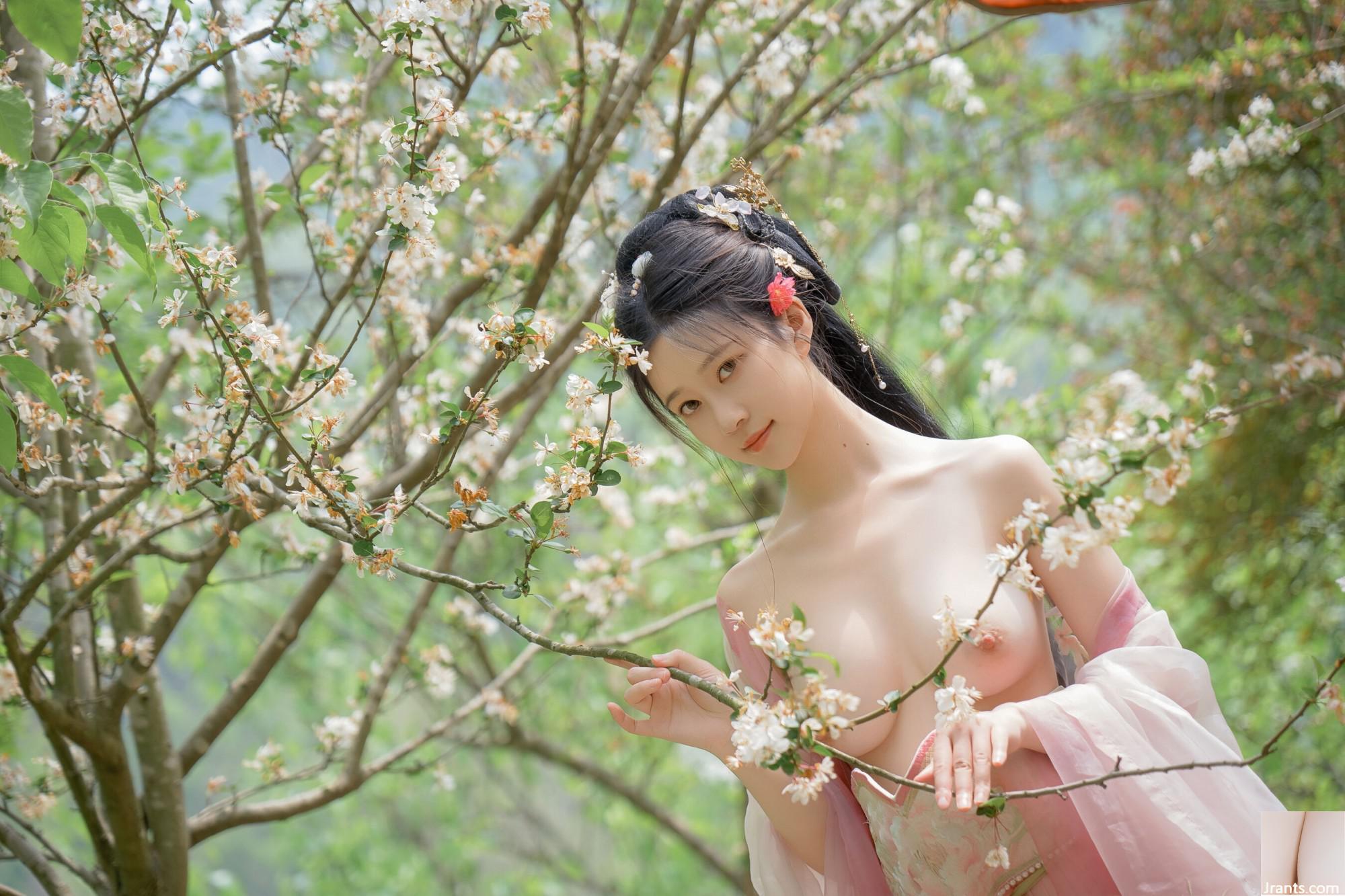 (Foto de conjunto de modelos chineses) Nnian&#8221;Begonia Fairy&#8221; (84p)