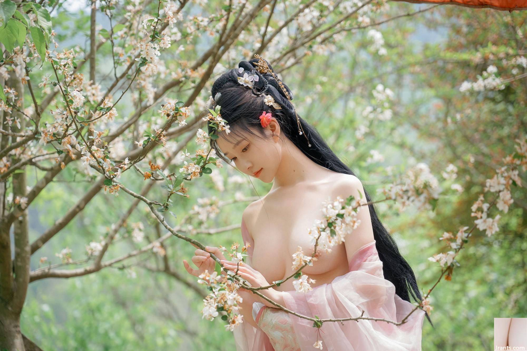 (Foto de conjunto de modelos chineses) Nnian&#8221;Begonia Fairy&#8221; (84p)