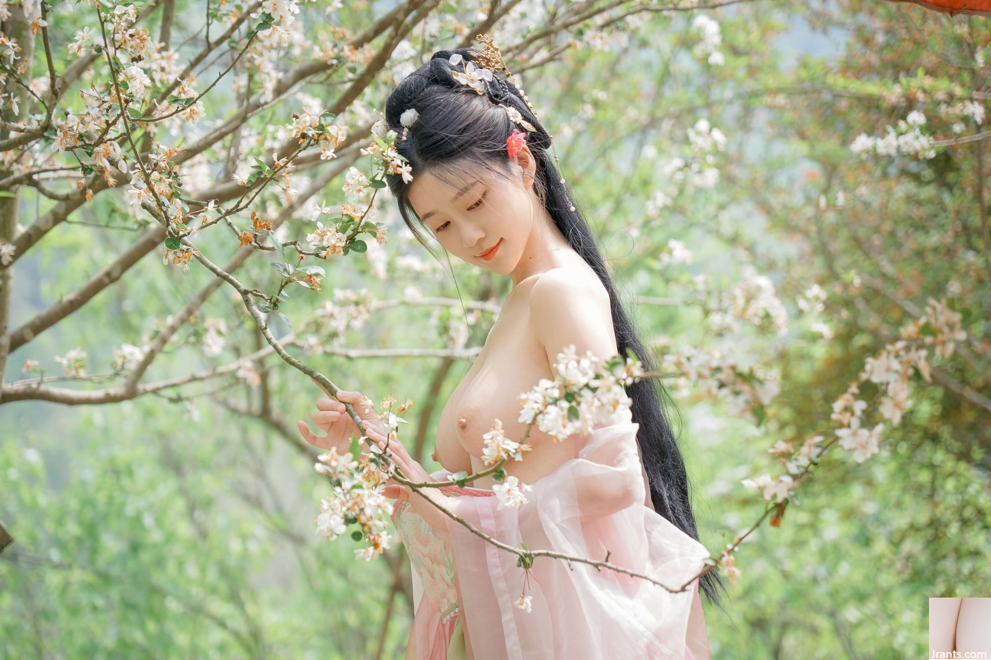 (Foto de conjunto de modelos chineses) Nnian&#8221;Begonia Fairy&#8221; (84p)