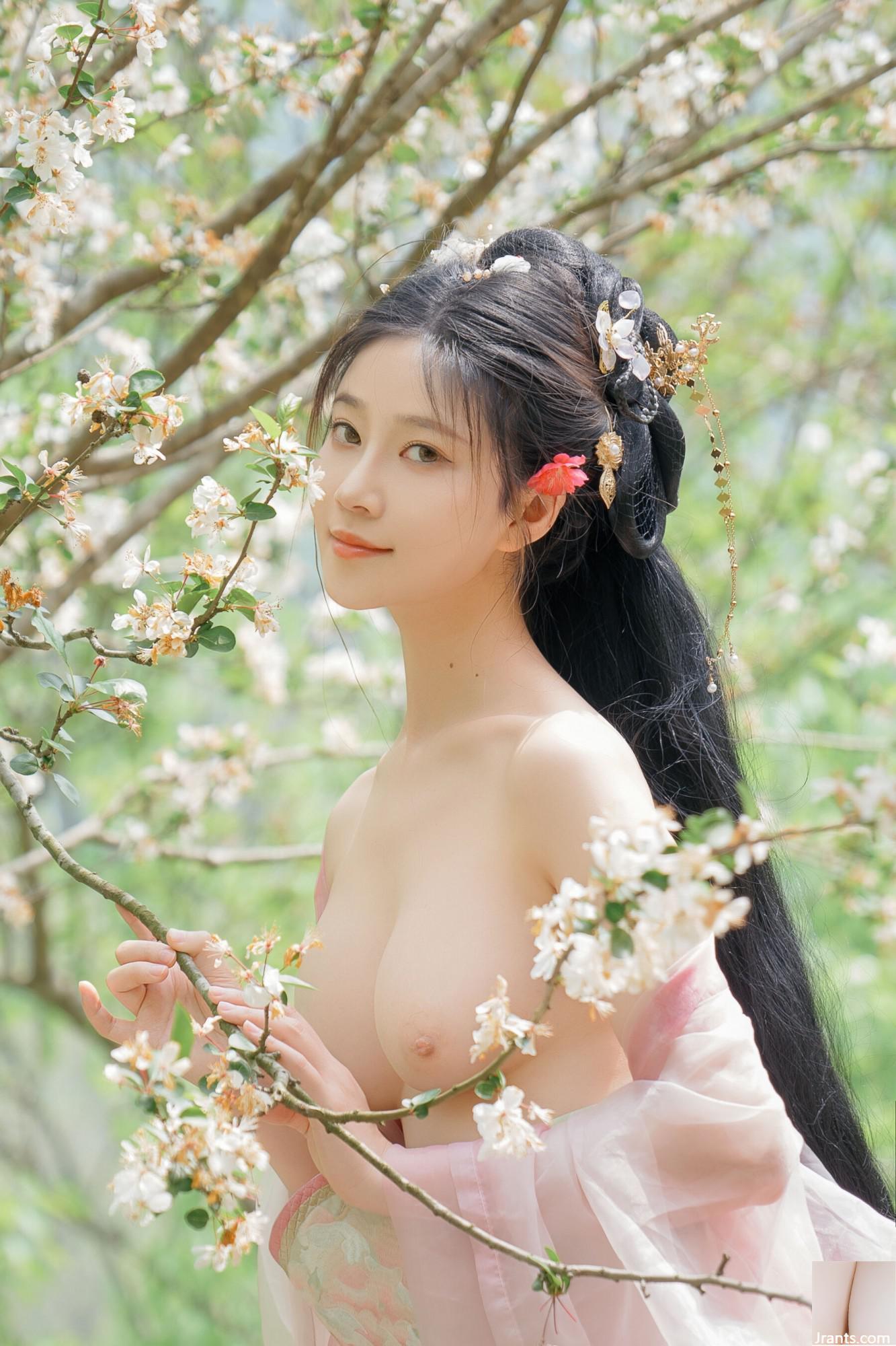 (Foto de conjunto de modelos chineses) Nnian&#8221;Begonia Fairy&#8221; (84p)