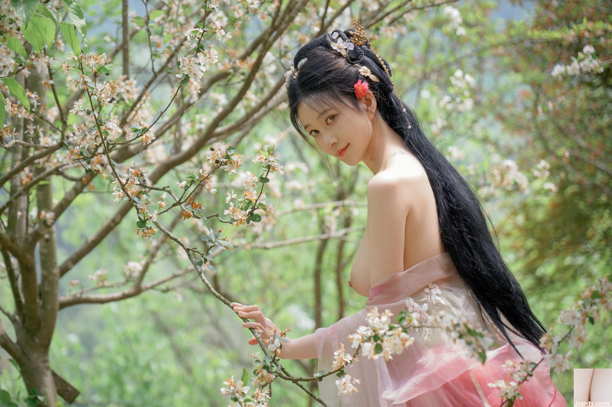 (Foto de conjunto de modelos chineses) Nnian&#8221;Begonia Fairy&#8221; (84p)