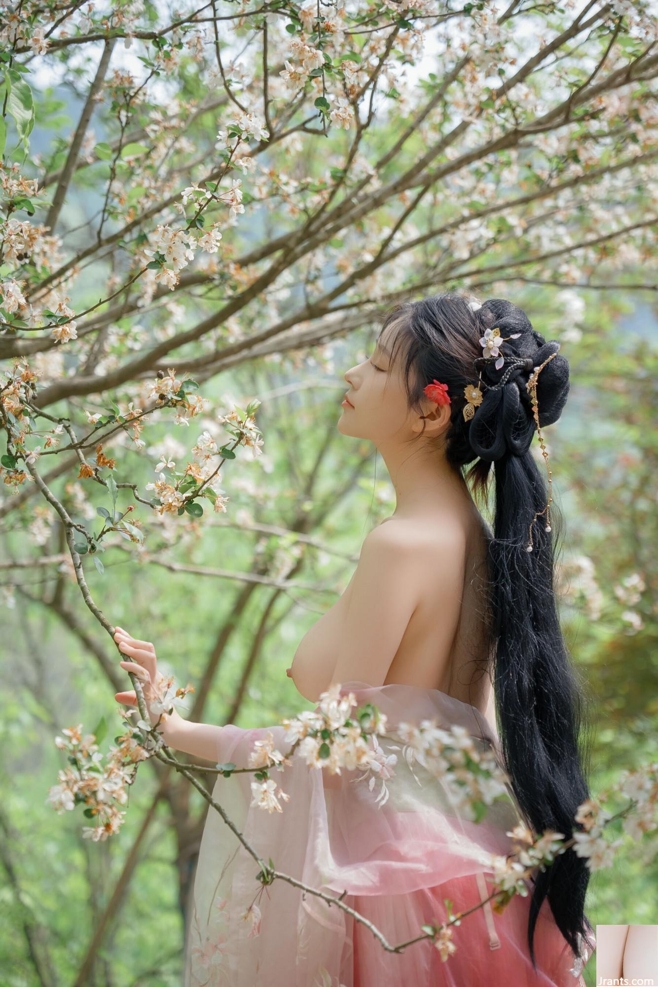 (Foto de conjunto de modelos chineses) Nnian&#8221;Begonia Fairy&#8221; (84p)
