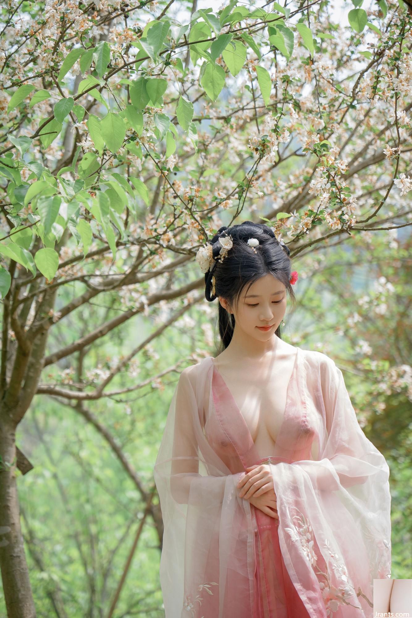 (Foto de conjunto de modelos chineses) Nnian&#8221;Begonia Fairy&#8221; (84p)