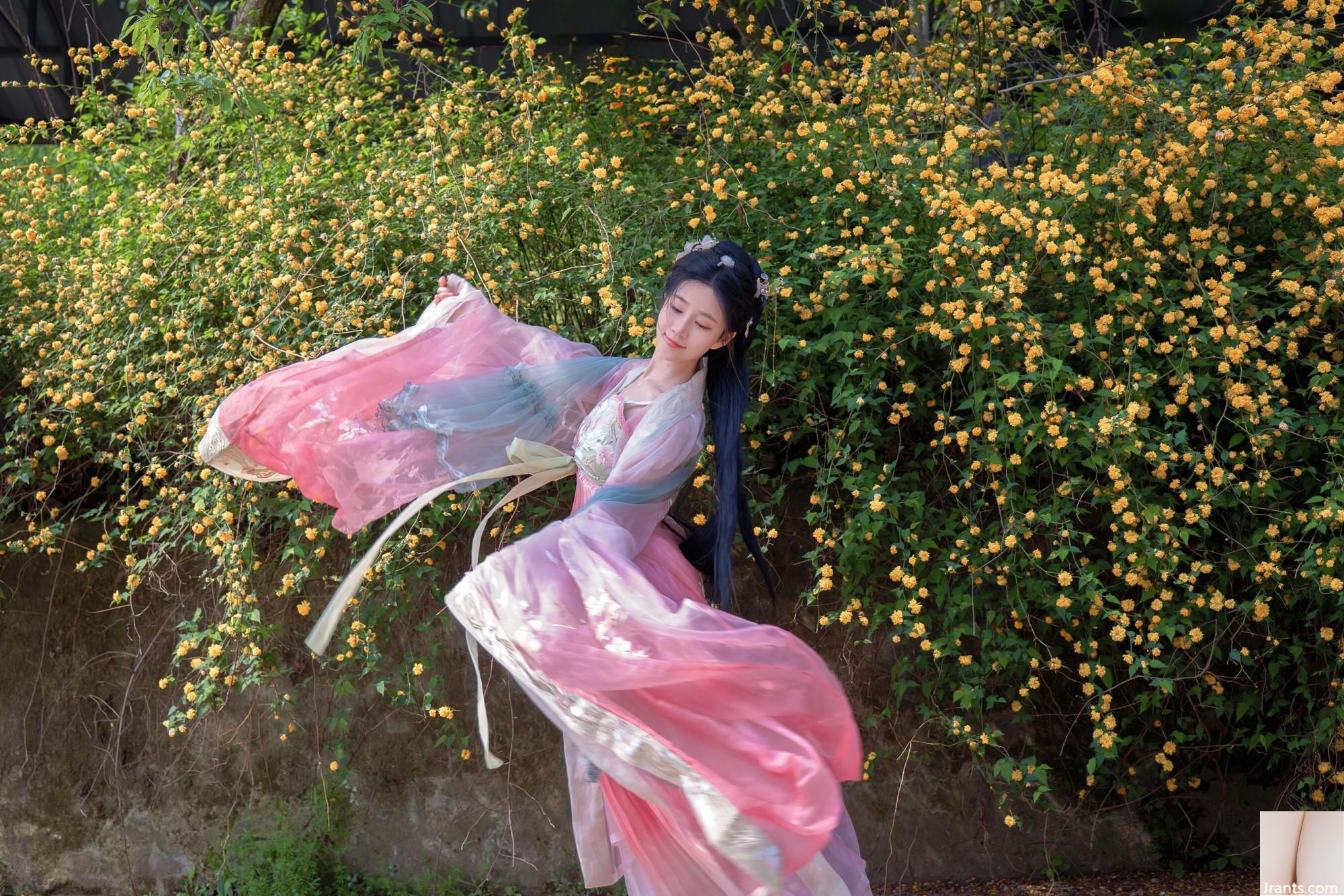 (صورة نموذج صينية نموذج) Nian&#8221;Begonia Fairy&#8221; (84p)