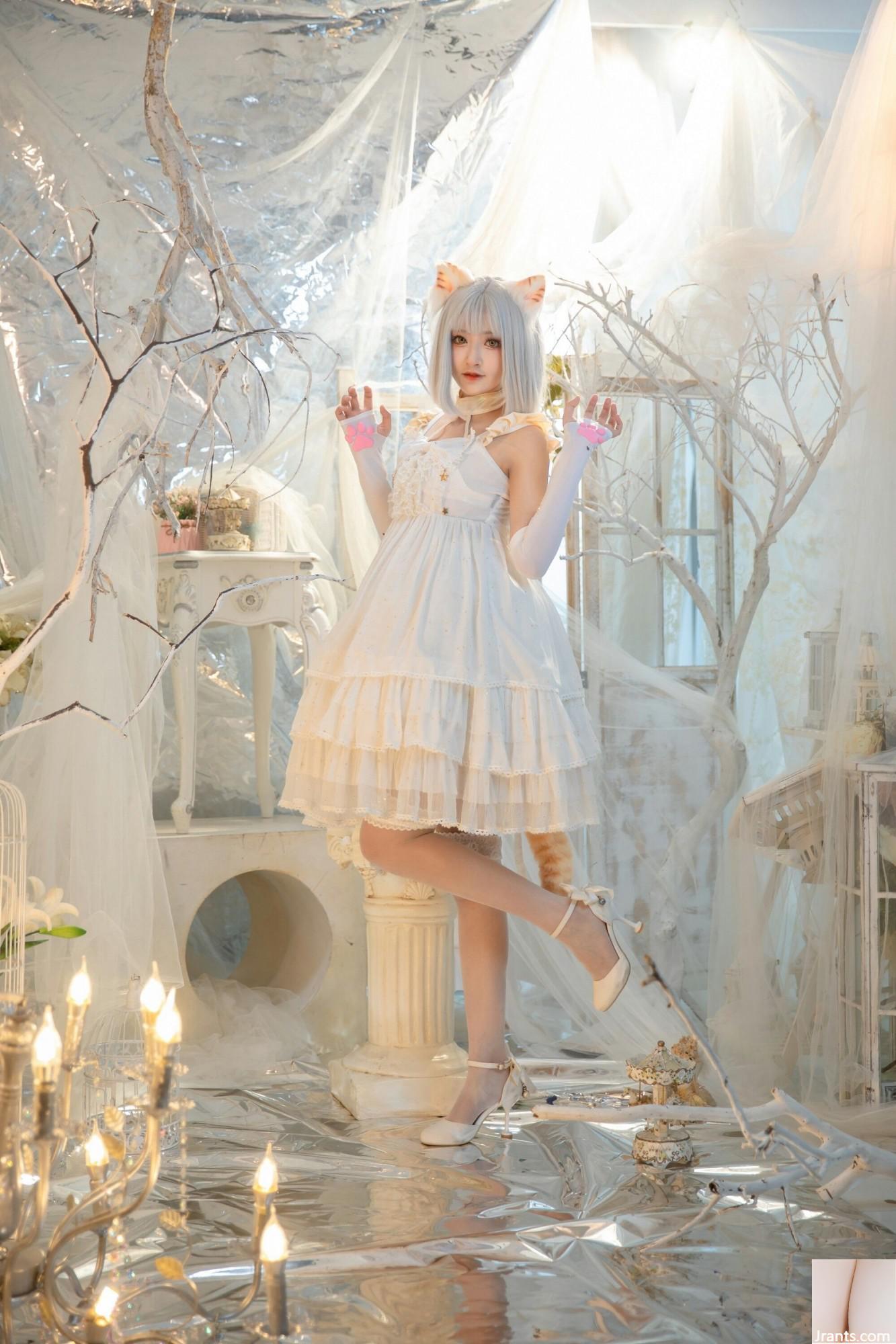 (مجموعة عبر الإنترنت) Welfare Girl Zero Saw &#8220;Cat Fist&#8221; VIP Exclusive (43p)