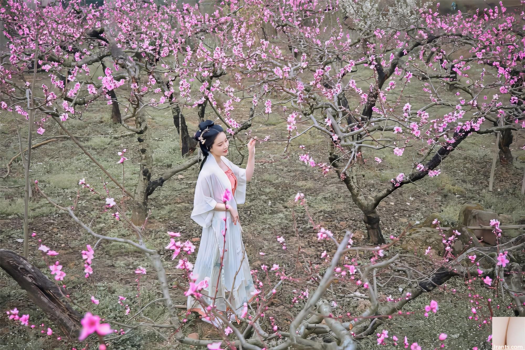 (النموذج الوطني للجسم البشري) Nian&#8221;March Banyan&#8221; (51p)