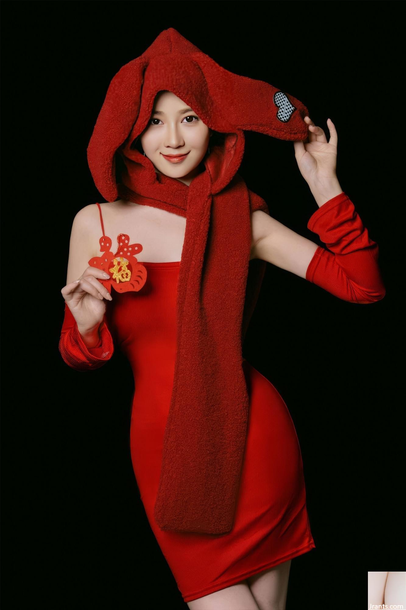 (Modelo Nacional do corpo humano) Nnian&#8221;Bunny de Ano Novo&#8221; (39p)