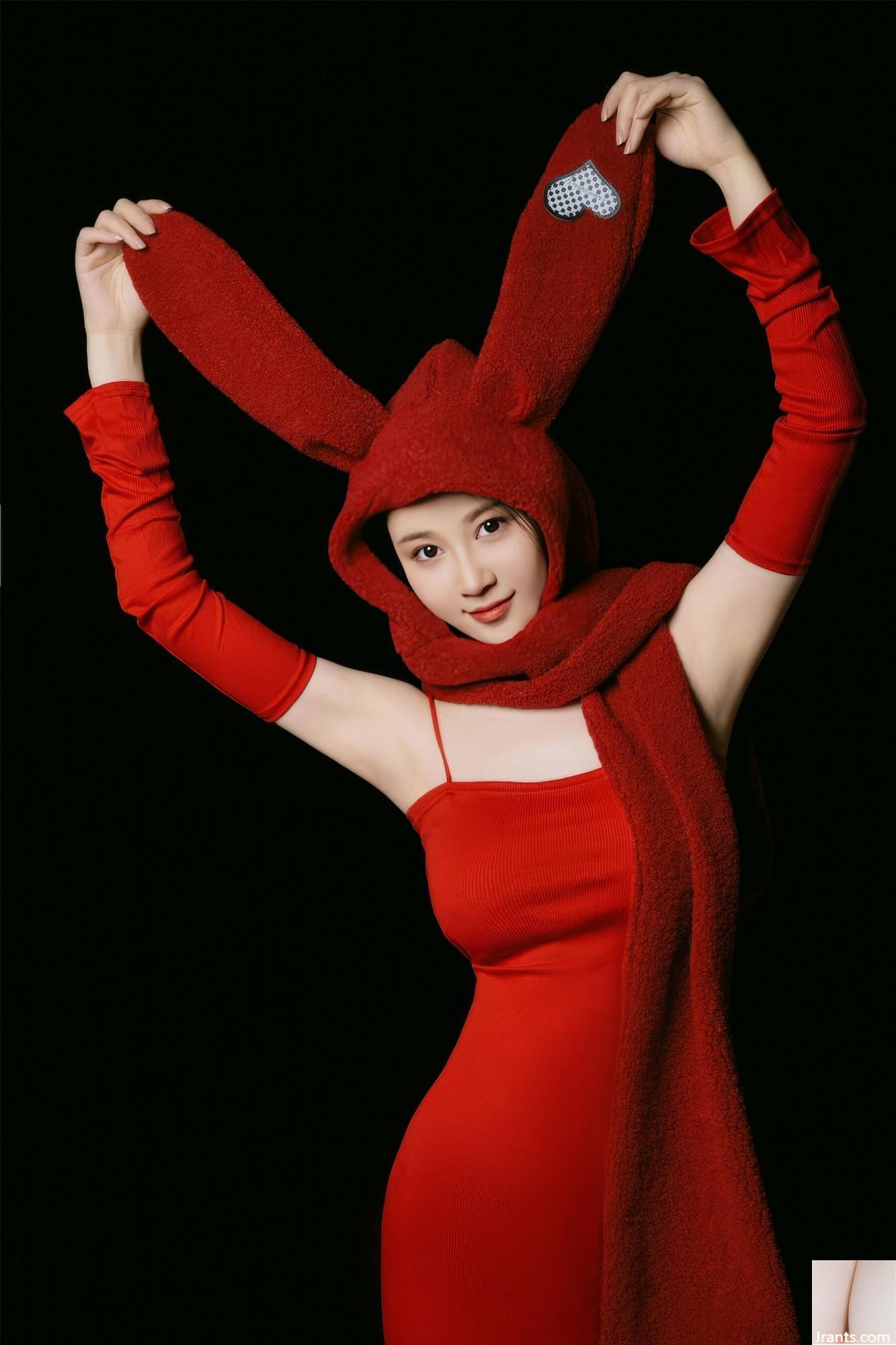 (Modelo Nacional do corpo humano) Nnian&#8221;Bunny de Ano Novo&#8221; (39p)