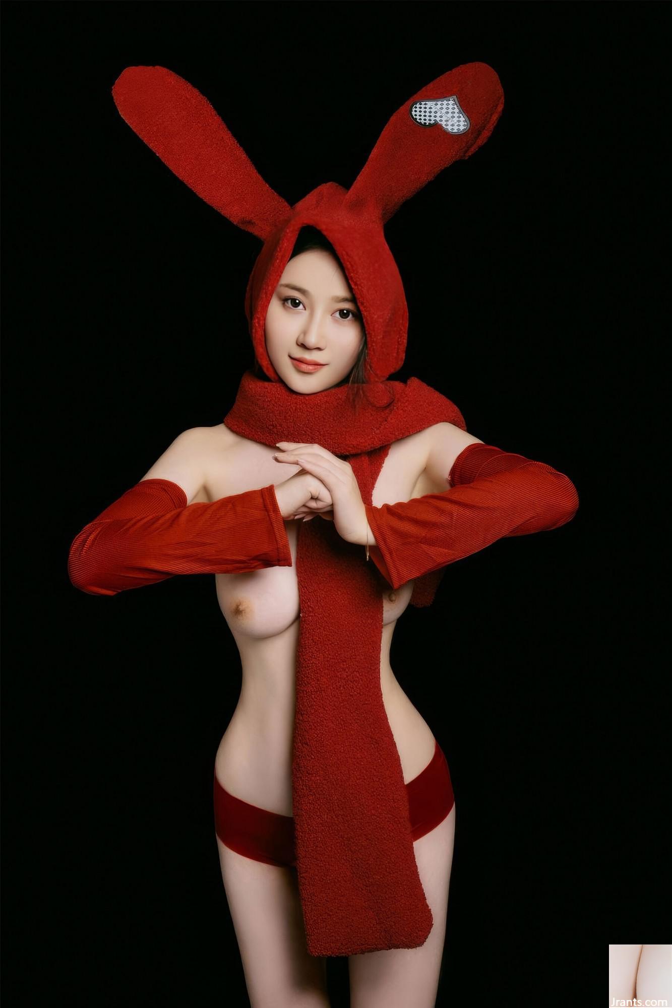 (Modelo Nacional do corpo humano) Nnian&#8221;Bunny de Ano Novo&#8221; (39p)