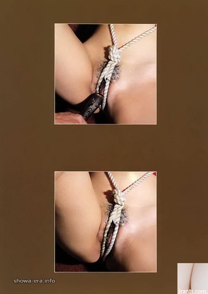 Star du porno dans les livres d&rsquo;urabon