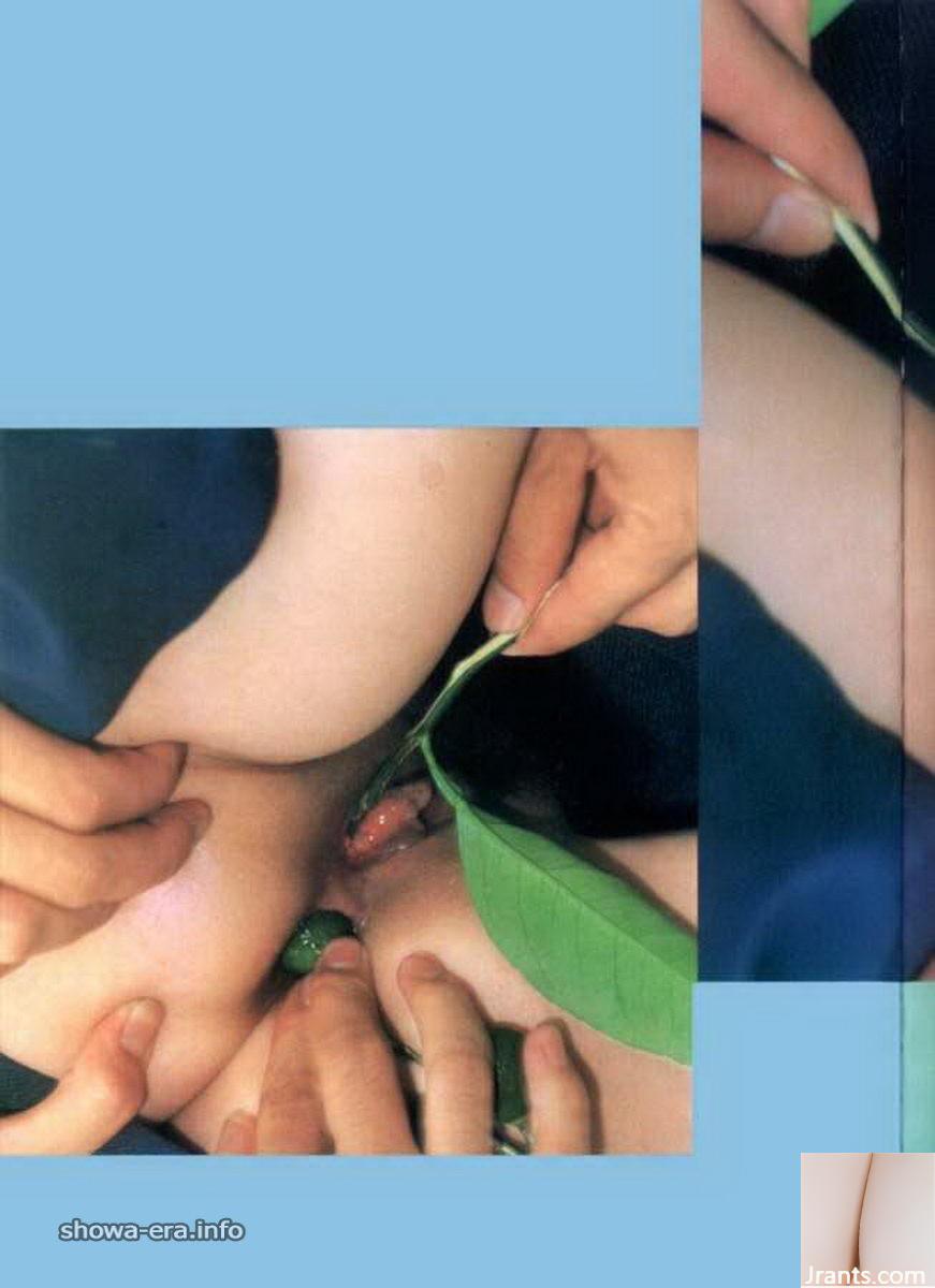 ستاره پورنو در کتاب های Ura-Books متاهل طناب گریه زن (52p)
