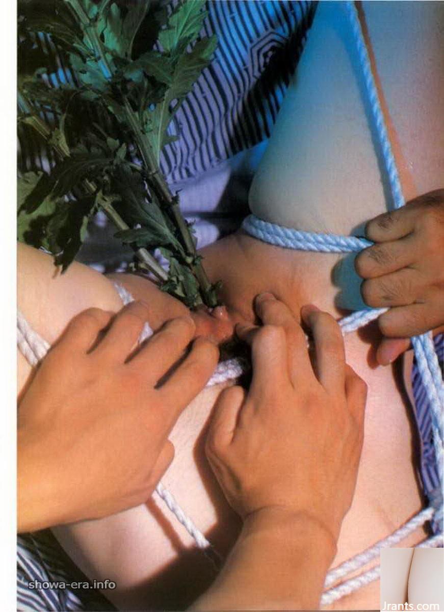ستاره پورنو در کتاب های Ura-Books متاهل طناب گریه زن (52p)